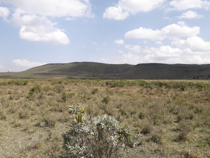 Additional property image